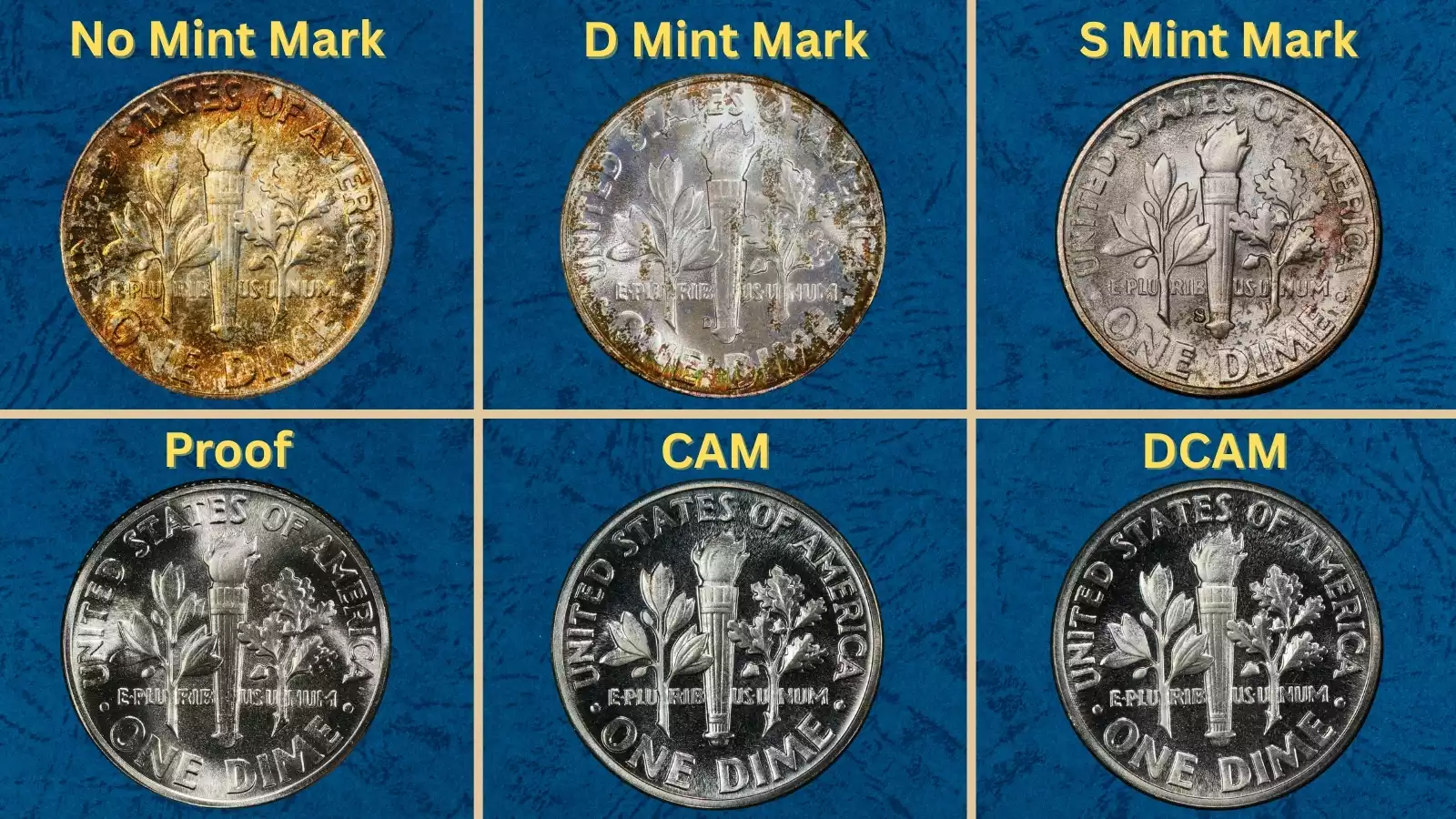 Grading strip showing four 1950 Roosevelt dimes from worn G-4 to gem MS-66 in one row